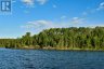 1 Yellow Girl Bay, Sioux Narrows-nestor Falls, Ontario, P0X1N0 (ID TB181506)