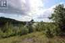 Sugar Bay RD, Clearwater Bay, Ontario, P0X1S0 (ID TB192938)