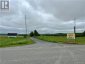 170 McCluskey Road, Dsl De Grand-sault/dsl Of Grand Falls, New Brunswick, E3Z1L3 (ID NB082798)