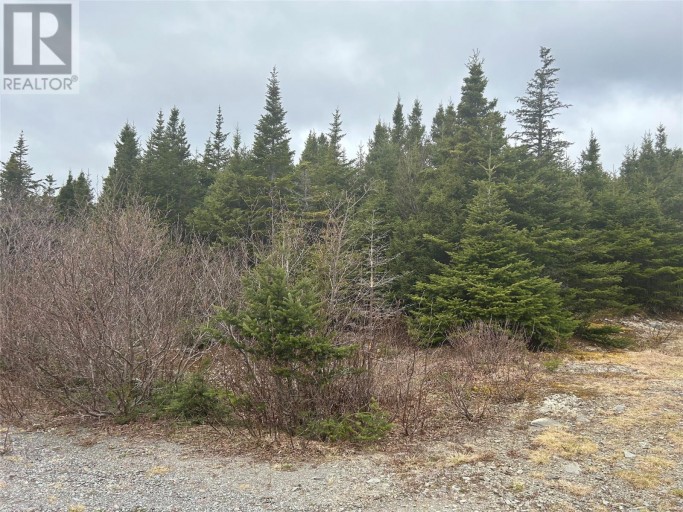 Lot #01 Slate Mine Road, Burgoynes Cove, Newfoundland & Labrador (id 1258176)