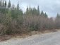 Lot #01 Slate Mine Road, Burgoynes Cove, Newfoundland & Labrador, A0C1G0 (ID 1258176)