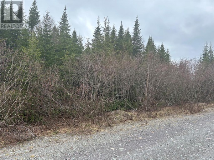 Lot # 04 Slate Mine Road, Burgoynes Cove, Newfoundland & Labrador, A0C1G0 (ID 1258181)