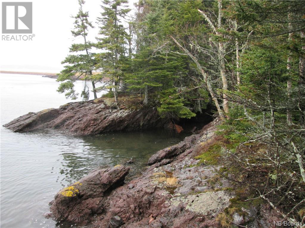 - Hills Island/McCann Island, Back Bay, New Brunswick, E5G1G1
