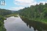 0 HWY 2, River De Chute, New Brunswick, E7H4S8 (ID NB090155)