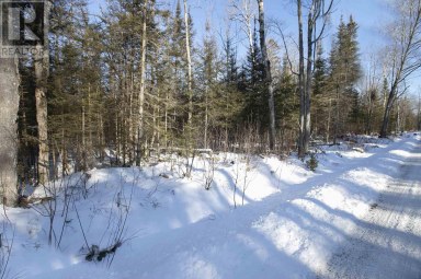 LOT 63 Copper Bay RD Bruce Mines Ontario photo 15