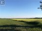 5239 7TH LINE, New Tecumseth, Ontario, L0G1A0 (ID N12008104)