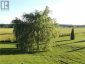 5239 7TH LINE, New Tecumseth, Ontario, L0G1A0 (ID N12008104)