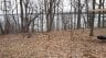 110 COW ISLAND, Otonabee-south Monaghan, Ontario, K0K1B0 (ID X12020447)