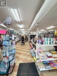 145 MAIN STREET Prince Edward County (Picton Ward) Ontario photo 6