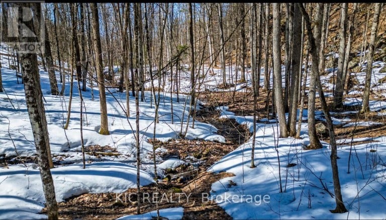 0 HINCHINBROOKE RD N ROAD, Frontenac (Frontenac South), Ontario, K0H2W0