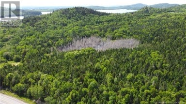 Lot 2024-2 Route 127 Chamcook New Brunswick photo 10