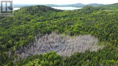Lot 2024-2 Route 127 Chamcook New Brunswick photo 13