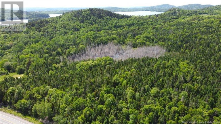 Lot 2024-1 Route 127, Chamcook, New Brunswick, E5B3R6