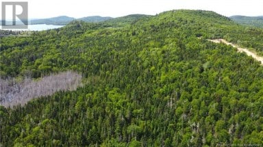 Lot 2024-1 Route 127 Chamcook New Brunswick photo 12