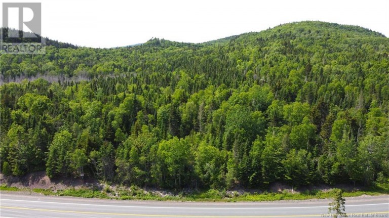 Lot 2024-1 Route 127, Chamcook, New Brunswick, E5B3R6