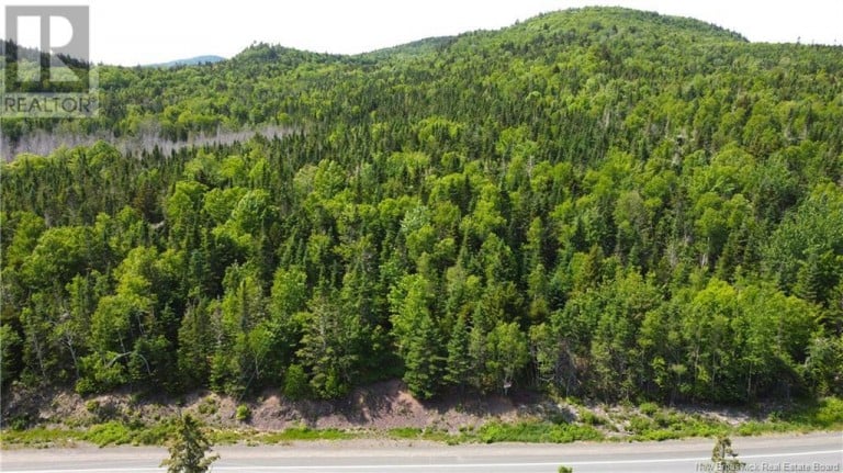Lot 2024-1 Route 127, Chamcook, New Brunswick, E5B3R6