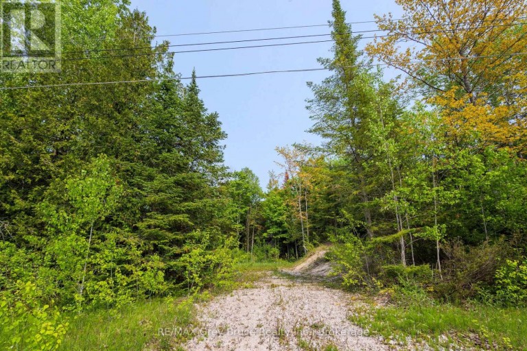 425 DUFFERIN AVENUE, South Bruce Peninsula Ontario