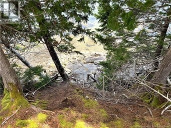 379 Hills Point Road Oak Bay New Brunswick photo 11