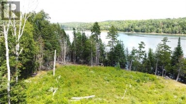 379 Hills Point Road Oak Bay New Brunswick photo 20