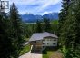 2941 McInnes Road, Revelstoke, British Columbia, V0E2S3 (ID 10349346)