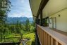 2941 McInnes Road, Revelstoke, British Columbia, V0E2S3 (ID 10349346)