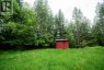 2941 McInnes Road, Revelstoke, British Columbia, V0E2S3 (ID 10349346)