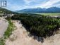 2941 McInnes Road, Revelstoke, British Columbia, V0E2S3 (ID 10349346)