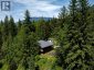 2941 McInnes Road, Revelstoke, British Columbia, V0E2S3 (ID 10349346)