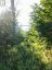 621A COOK ROAD, Marmora And Lake (lake Ward), Ontario, K0K2M0 (ID X12247207)