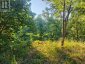 621A COOK ROAD, Marmora And Lake (lake Ward), Ontario, K0K2M0 (ID X12247207)