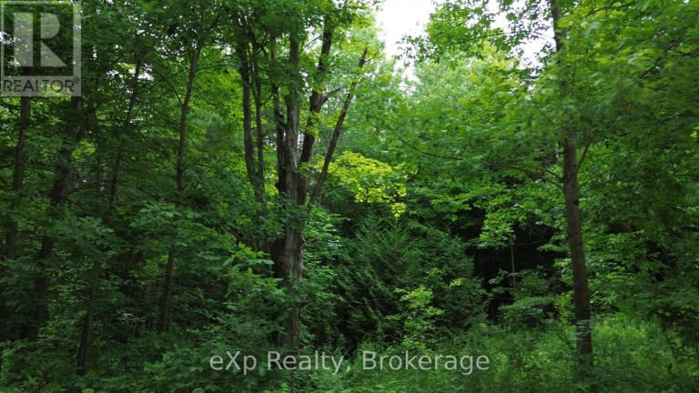 720227 SIDEROAD 20 SIDE ROAD, Chatsworth Ontario