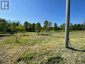 PT LT 14 LITTLE CREEK ROAD, Greater Napanee (greater Napanee), Ontario, K7R3K7 (ID X12319284)