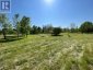 PT LT 14 LITTLE CREEK ROAD, Greater Napanee (greater Napanee), Ontario, K7R3K7 (ID X12319284)