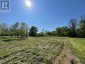 PT LT 14 LITTLE CREEK ROAD, Greater Napanee (greater Napanee), Ontario, K7R3K7 (ID X12319284)