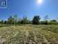 PT LT 14 LITTLE CREEK ROAD, Greater Napanee (greater Napanee), Ontario, K7R3K7 (ID X12319284)