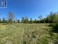 PT LT 14 LITTLE CREEK ROAD, Greater Napanee (greater Napanee), Ontario, K7R3K7 (ID X12319284)