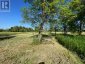 PT LT 14 LITTLE CREEK ROAD, Greater Napanee (greater Napanee), Ontario, K7R3K7 (ID X12319284)