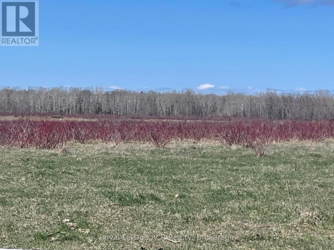 250 SCOTCH LINE ROAD, Assiginack Ontario