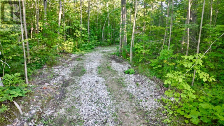 279 BARNEY'S BOULEVARD, Northern Bruce Peninsula Ontario