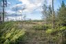254-256 MCGUIRE BEACH ROAD, Kawartha Lakes (carden), Ontario, K0M2B0 (ID X12399282)