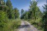254-256 MCGUIRE BEACH ROAD, Kawartha Lakes (carden), Ontario, K0M2B0 (ID X12399282)
