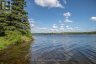 254-256 MCGUIRE BEACH ROAD, Kawartha Lakes (carden), Ontario, K0M2B0 (ID X12399282)