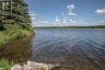 254-256 MCGUIRE BEACH ROAD, Kawartha Lakes (carden), Ontario, K0M2B0 (ID X12399282)