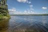 254-256 MCGUIRE BEACH ROAD, Kawartha Lakes (carden), Ontario, K0M2B0 (ID X12399282)