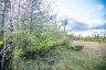 254-256 MCGUIRE BEACH ROAD, Kawartha Lakes (carden), Ontario, K0M2B0 (ID X12399282)