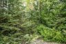 254-256 MCGUIRE BEACH ROAD, Kawartha Lakes (carden), Ontario, K0M2B0 (ID X12399282)