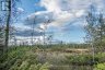 254-256 MCGUIRE BEACH ROAD, Kawartha Lakes (carden), Ontario, K0M2B0 (ID X12399282)