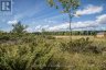 254-256 MCGUIRE BEACH ROAD, Kawartha Lakes (carden), Ontario, K0M2B0 (ID X12399282)