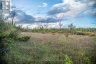 254-256 MCGUIRE BEACH ROAD, Kawartha Lakes (carden), Ontario, K0M2B0 (ID X12399282)