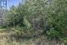254-256 MCGUIRE BEACH ROAD, Kawartha Lakes (carden), Ontario, K0M2B0 (ID X12399282)